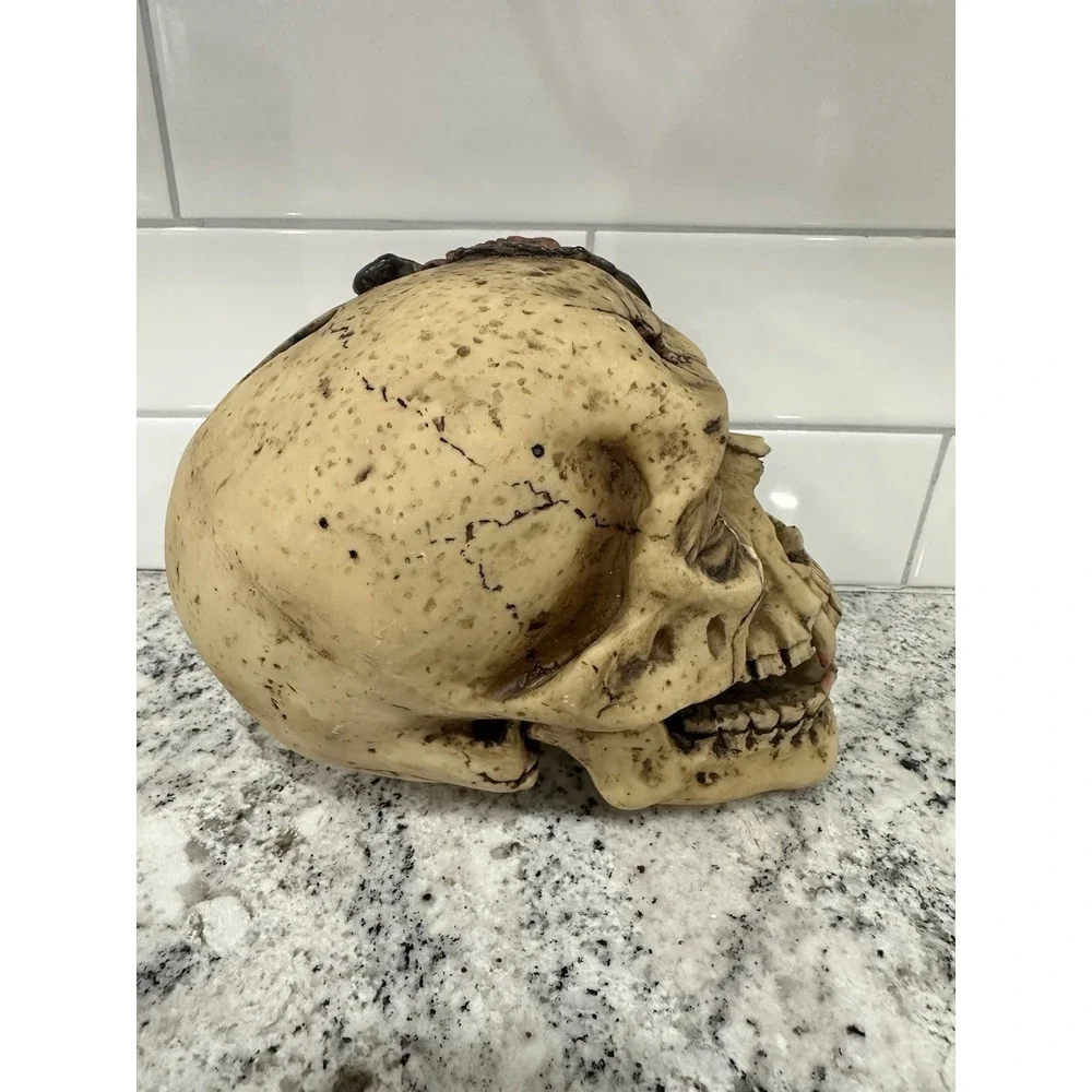 Vampire Skull Halloween‎ Scorpion Hole In Forehead Scary Prop Resin Piggy Bank